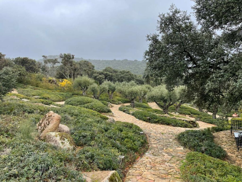 jardin finca sierra san vicente