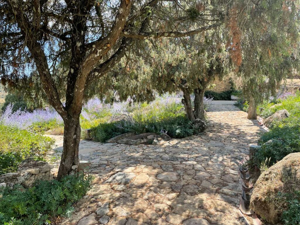 jardin finca sierra san vicente