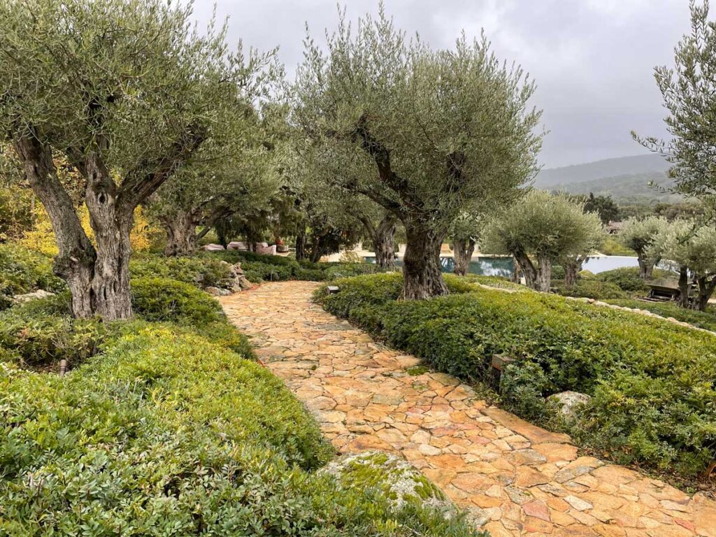 jardin finca sierra san vicente