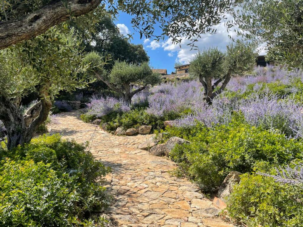 jardin finca sierra san vicente