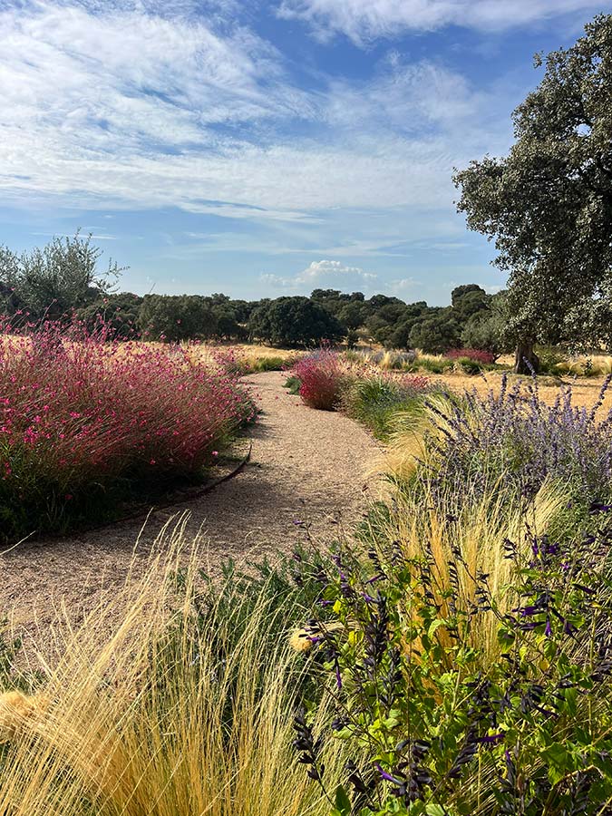 jardin paisajismo en casa de campo oropesa