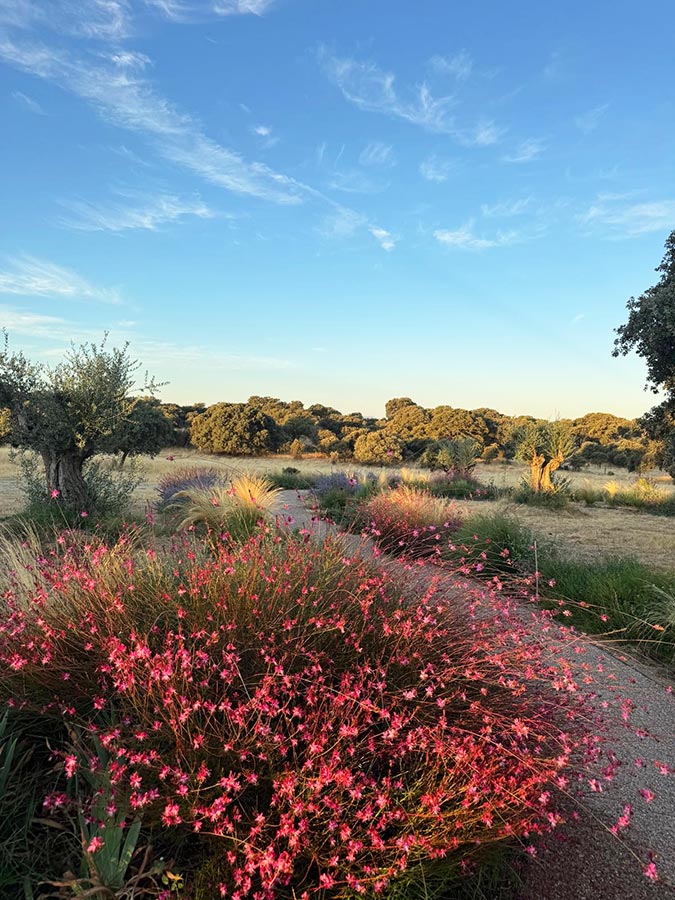 jardin paisajismo en casa de campo oropesa