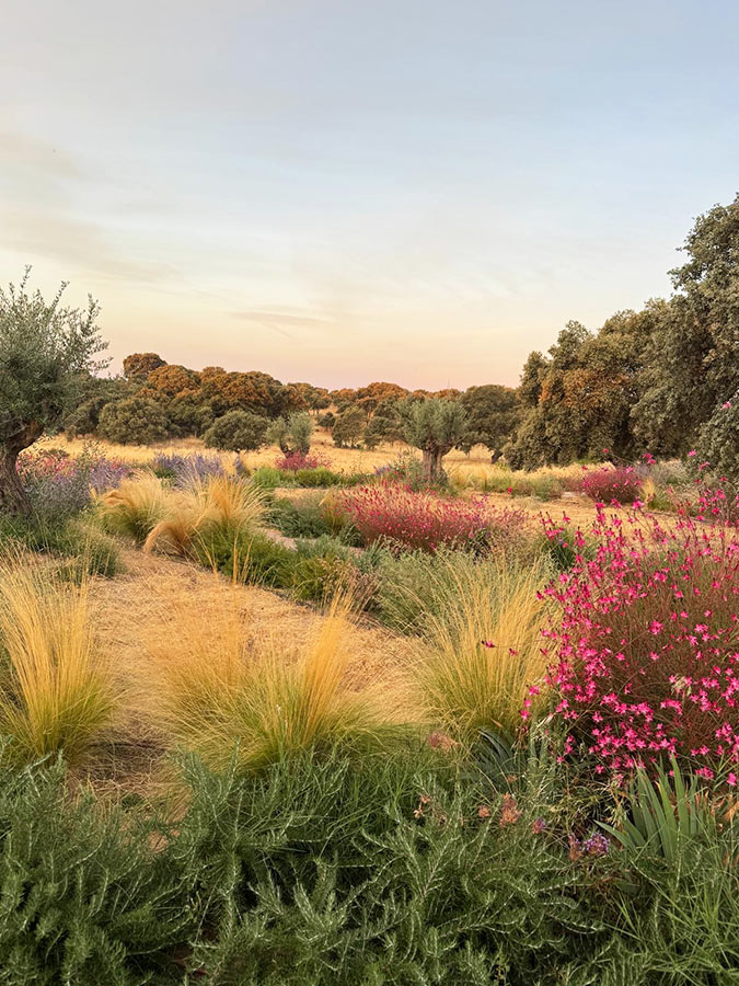 jardin paisajismo en casa de campo oropesa