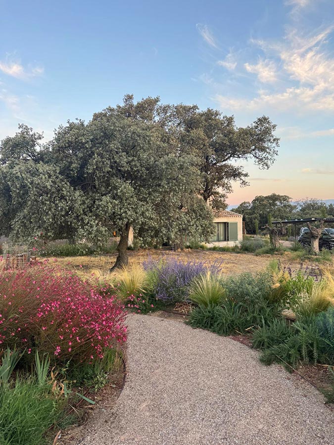 jardin paisajismo en casa de campo oropesa