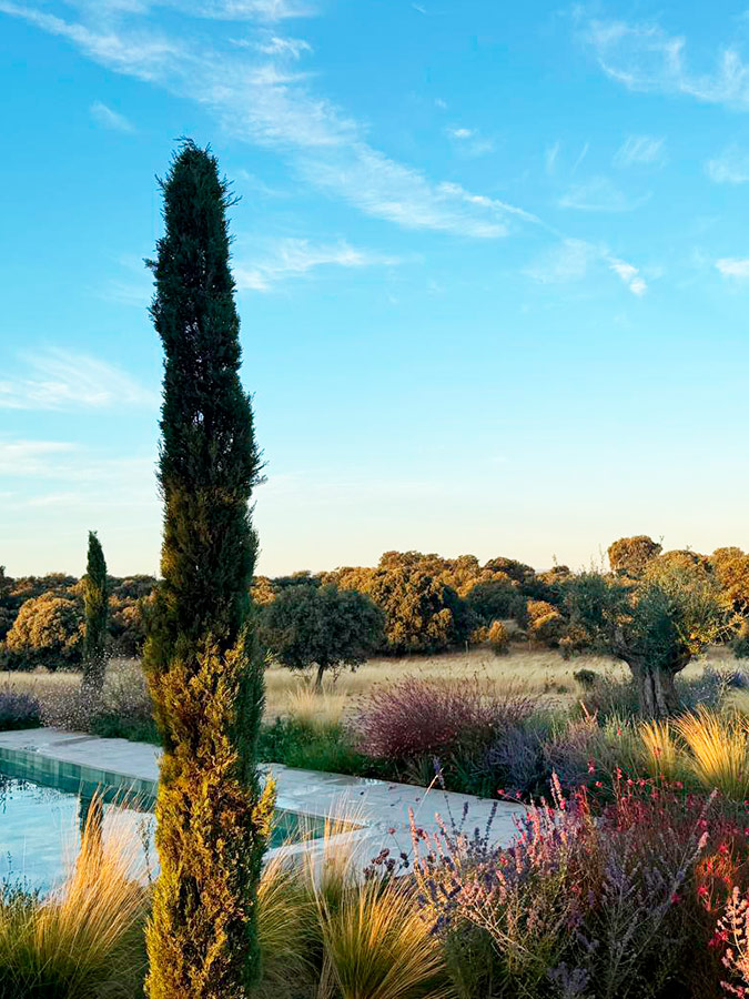 jardin paisajismo en casa de campo oropesa
