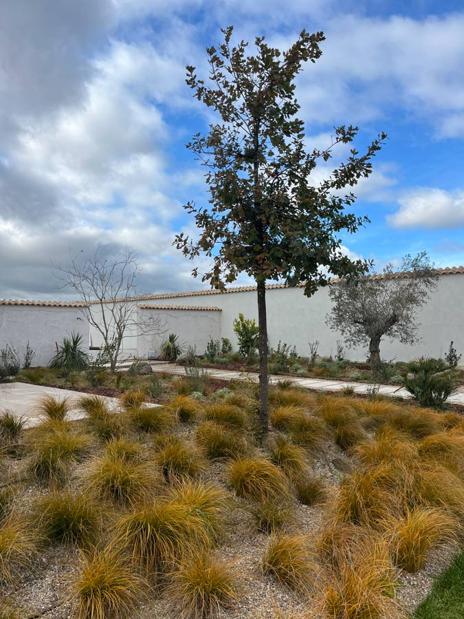 jardin urbano calera y chozas