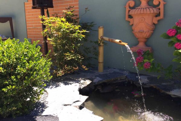 jardin urbano en la puebla toledo