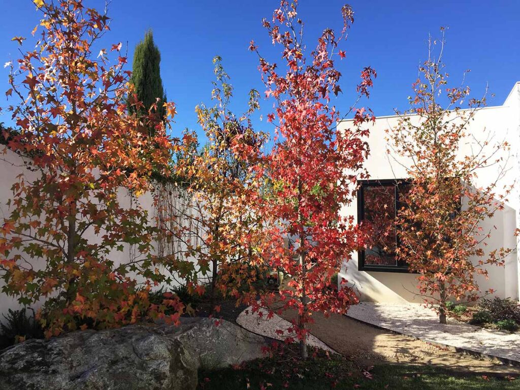 jardin urbano en madrid torrelodones