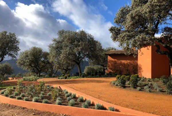 jardines en casa de campo finca ciudad real