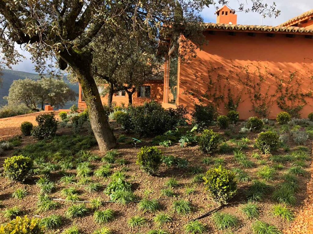 jardines en casa de campo finca ciudad real