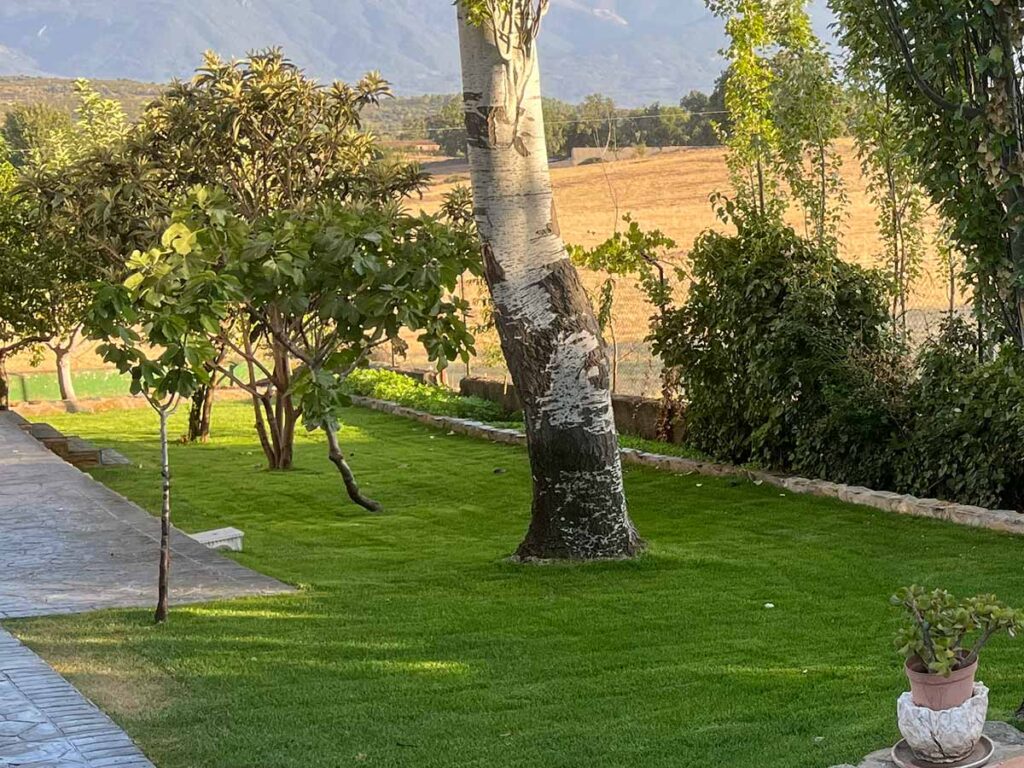 jardines en chalets sierra de san vicente