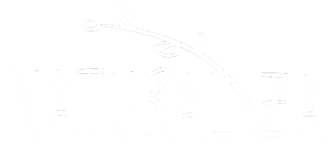 Naturaliza. Ejecución y mantenimiento de jardines